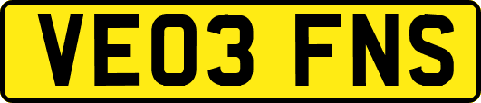 VE03FNS