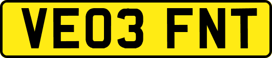 VE03FNT