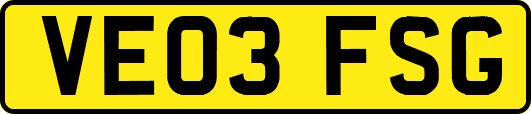 VE03FSG
