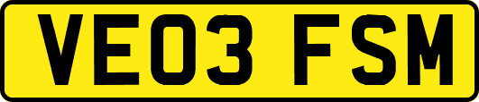 VE03FSM
