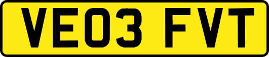 VE03FVT