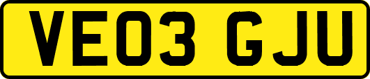 VE03GJU