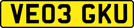 VE03GKU