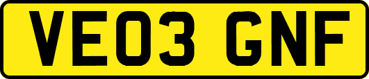 VE03GNF