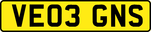 VE03GNS