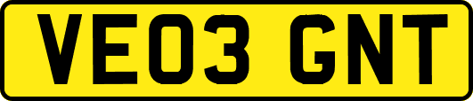 VE03GNT