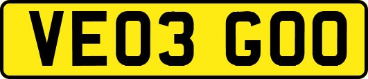VE03GOO
