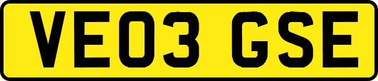 VE03GSE