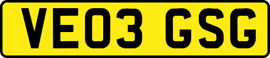 VE03GSG