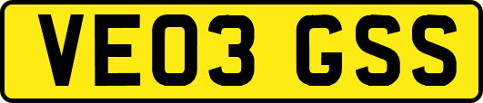 VE03GSS