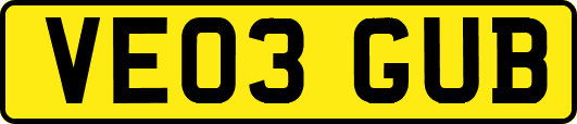 VE03GUB
