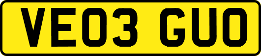 VE03GUO