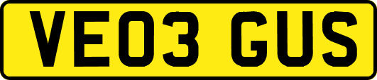 VE03GUS
