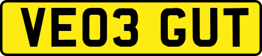 VE03GUT