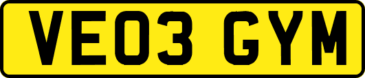 VE03GYM
