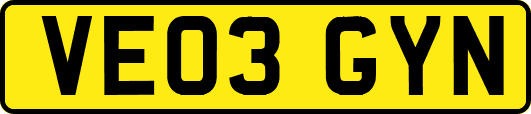 VE03GYN