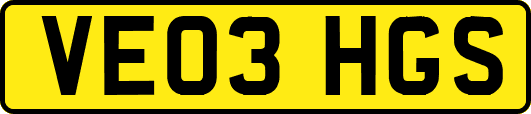 VE03HGS