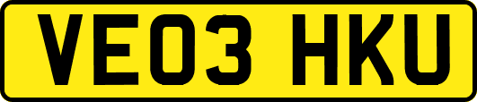 VE03HKU