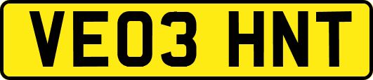 VE03HNT