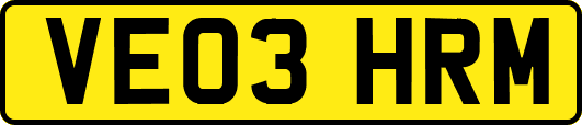 VE03HRM