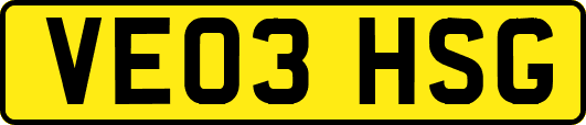 VE03HSG
