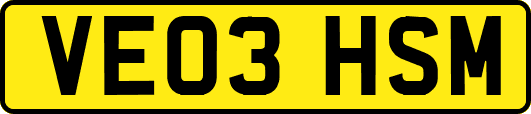 VE03HSM