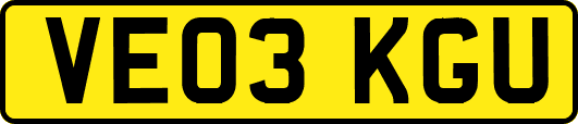 VE03KGU