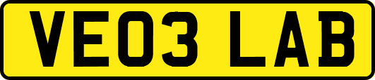 VE03LAB