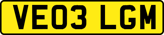VE03LGM