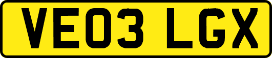 VE03LGX