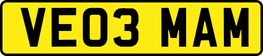 VE03MAM
