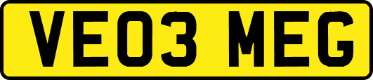 VE03MEG