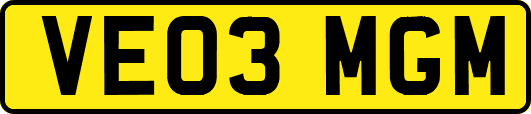 VE03MGM