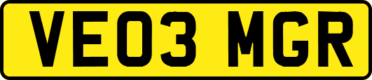VE03MGR