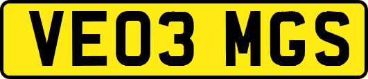 VE03MGS