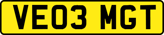 VE03MGT