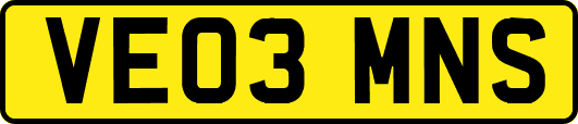 VE03MNS