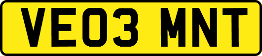 VE03MNT