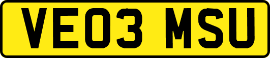VE03MSU