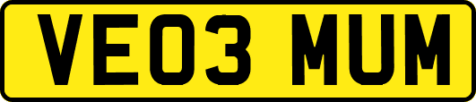 VE03MUM