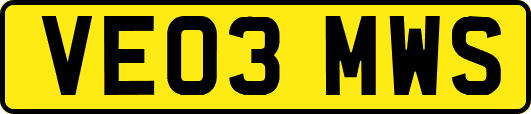 VE03MWS