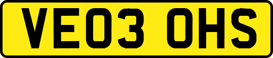 VE03OHS