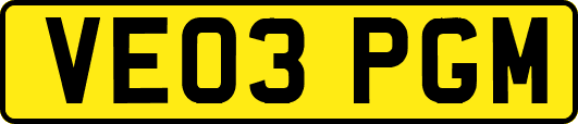 VE03PGM