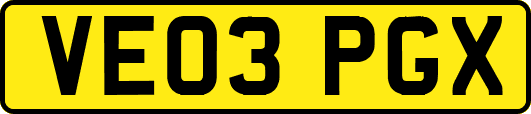 VE03PGX