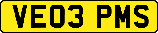 VE03PMS
