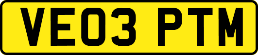 VE03PTM