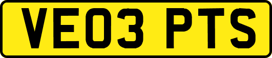 VE03PTS