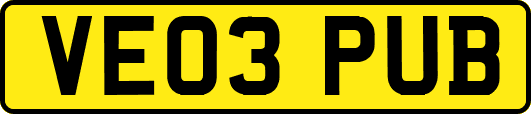 VE03PUB