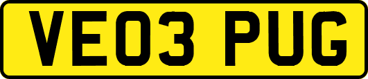 VE03PUG