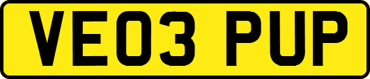 VE03PUP